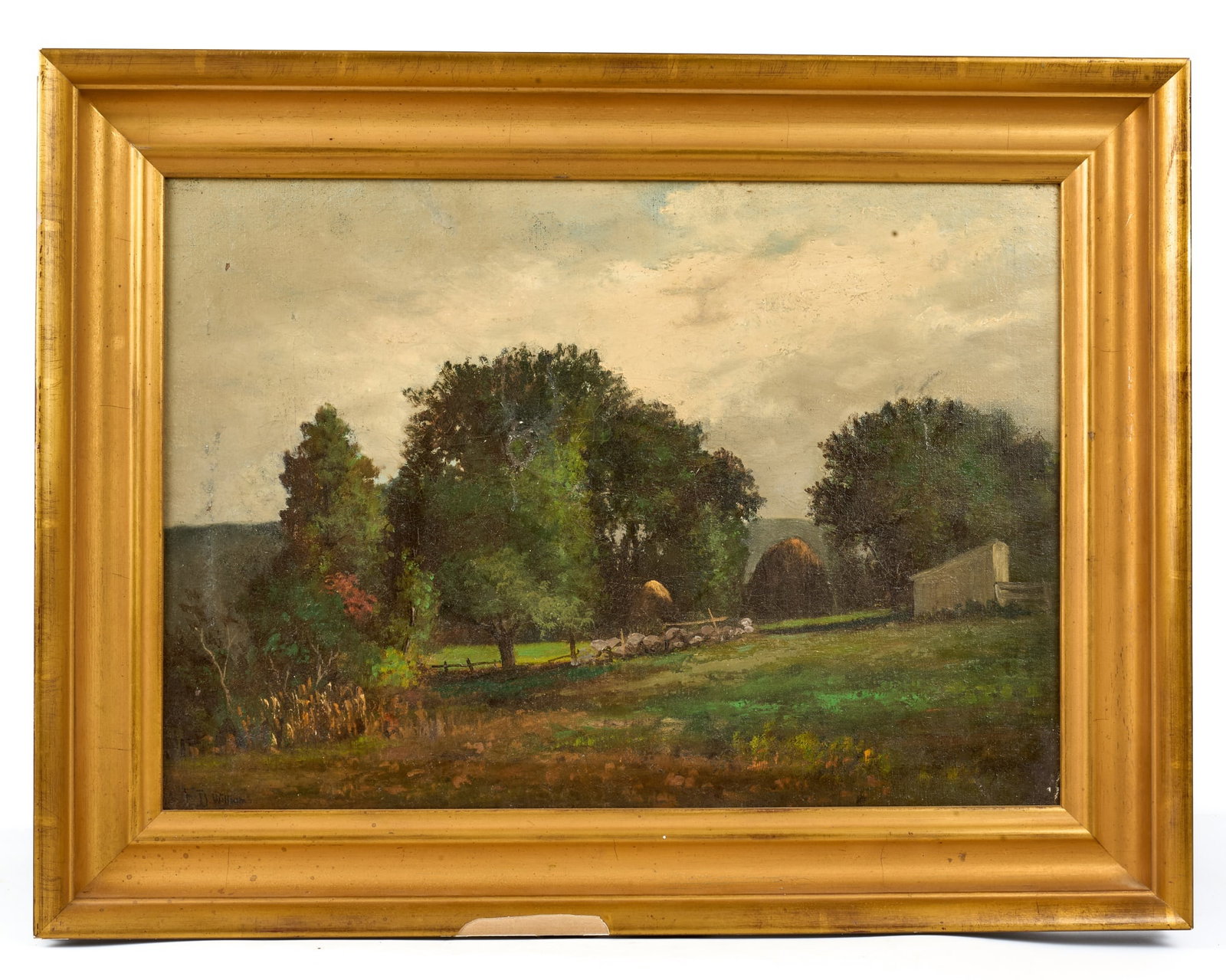 E.D. WILLIAMS (19th/20th c) (1 of 8)