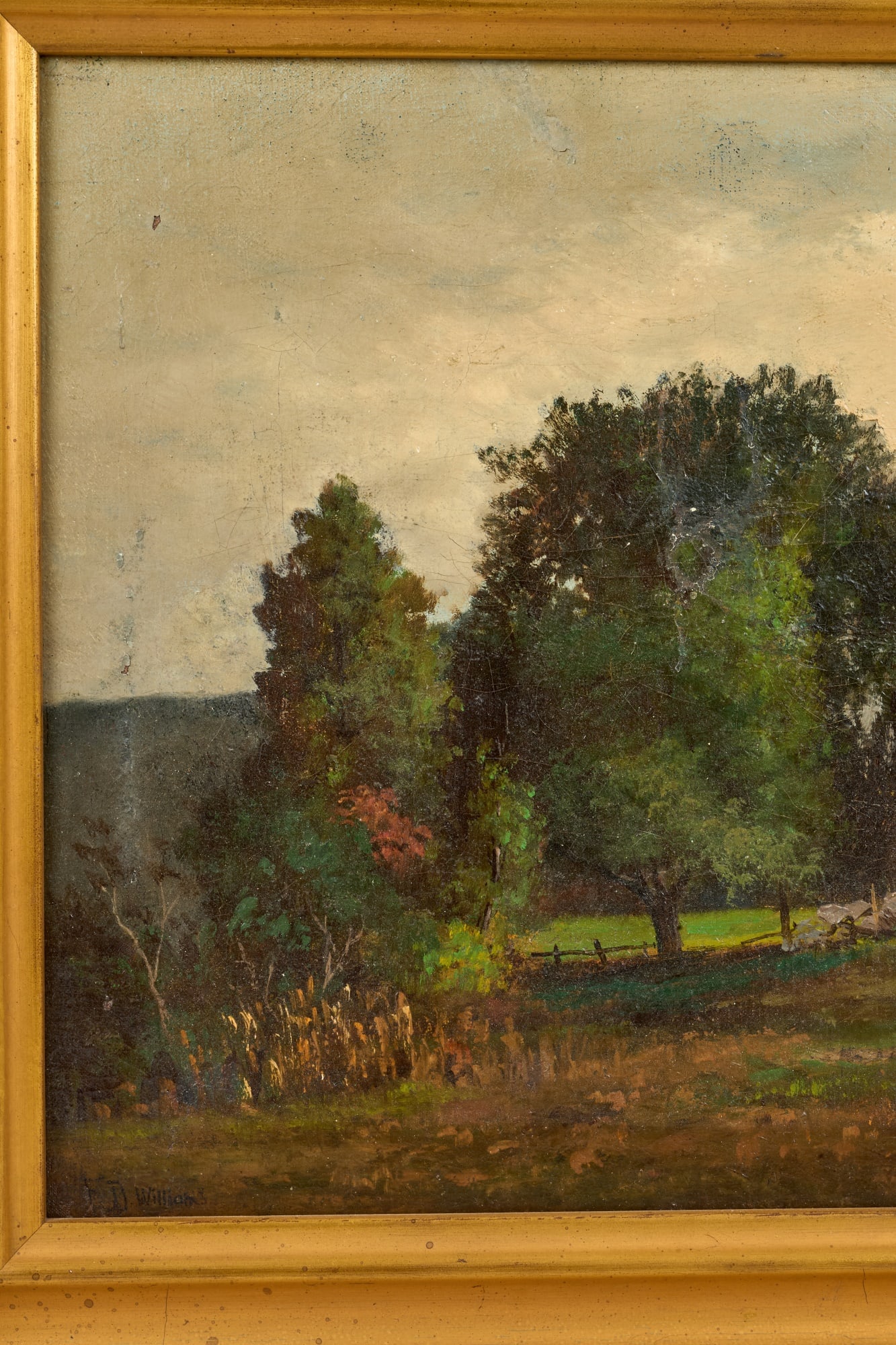E.D. WILLIAMS (19th/20th c) - 2
