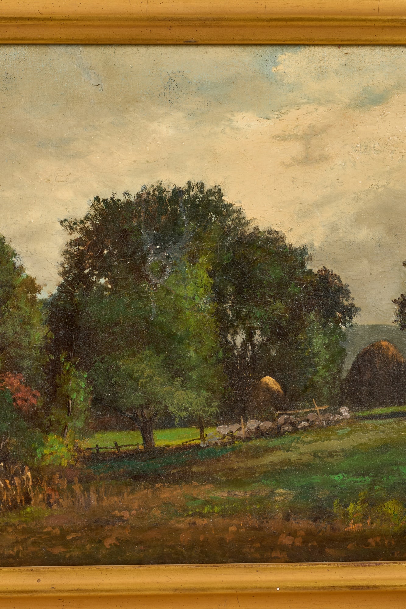 E.D. WILLIAMS (19th/20th c) - 3