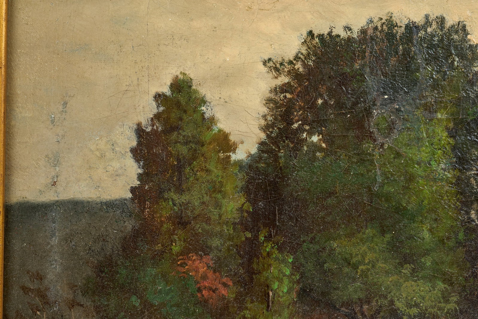 E.D. WILLIAMS (19th/20th c) - 6