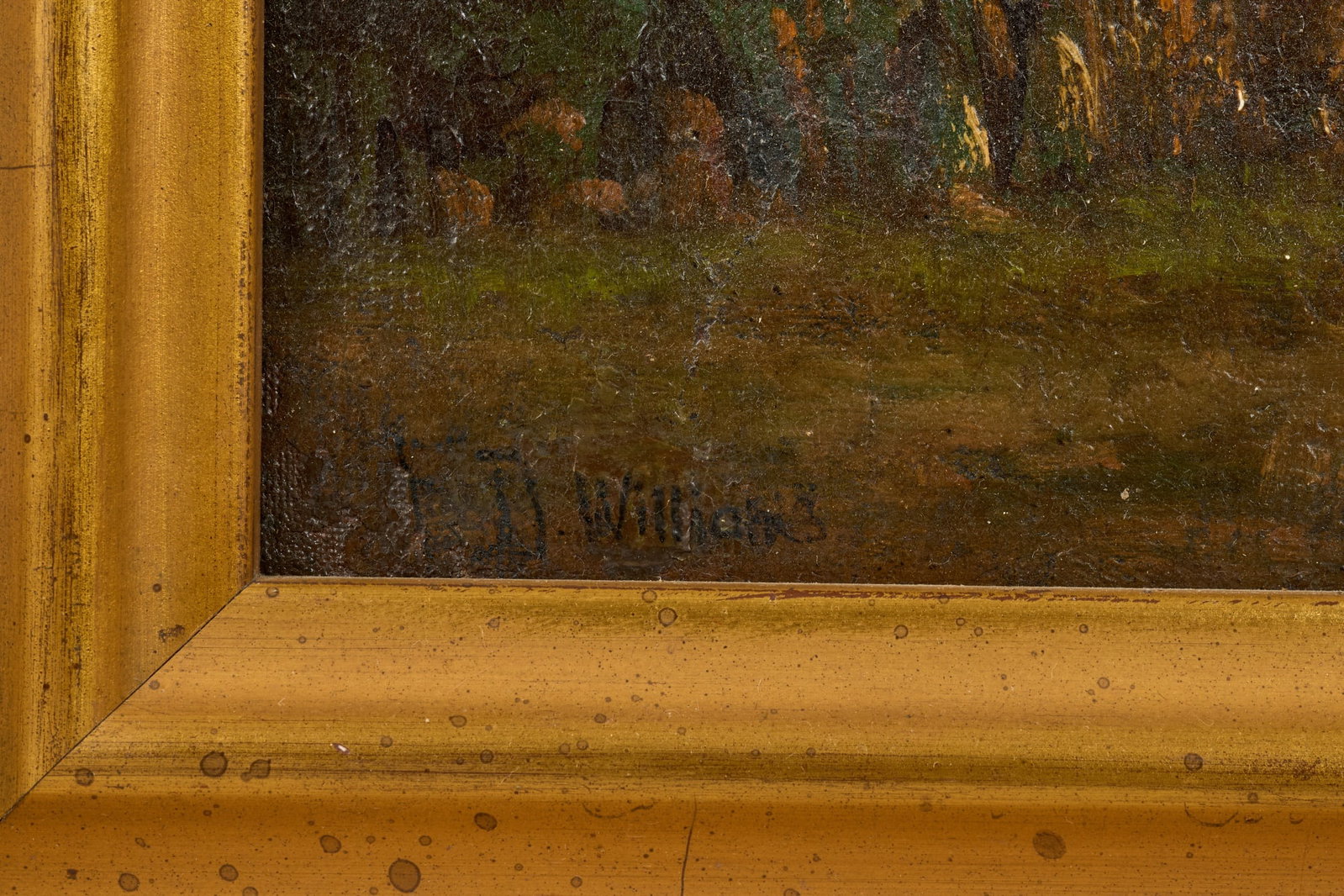 E.D. WILLIAMS (19th/20th c) - 7