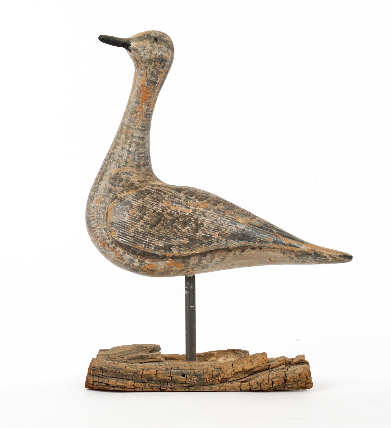 EARLY (20th c) CARVED & PAINTED SHOREBIRD: Early (20th c) carved & painted shorebird with mottled salt & pepper plumage, tack eyes, on driftwood base. 12 x 9 inches.