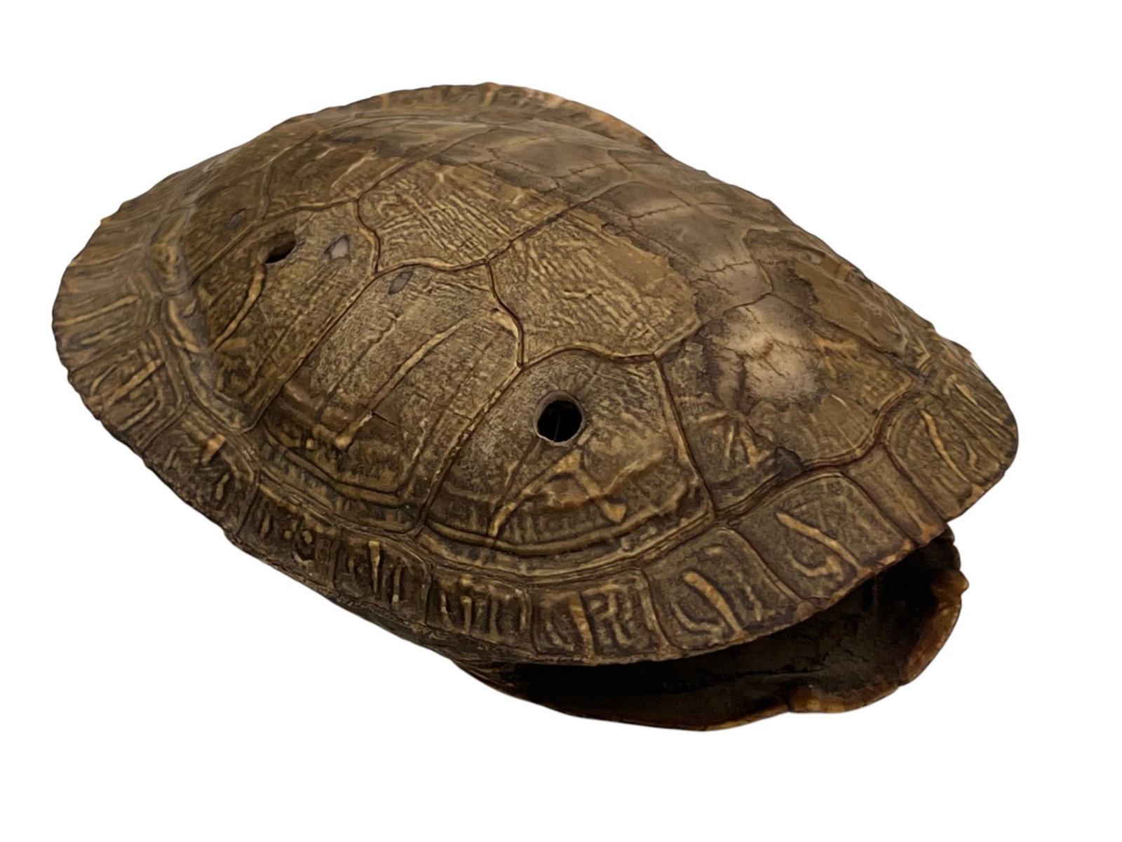 NATIVE AMERICAN BEADWORK FRAGMENT & TURTLE SHELL - 2