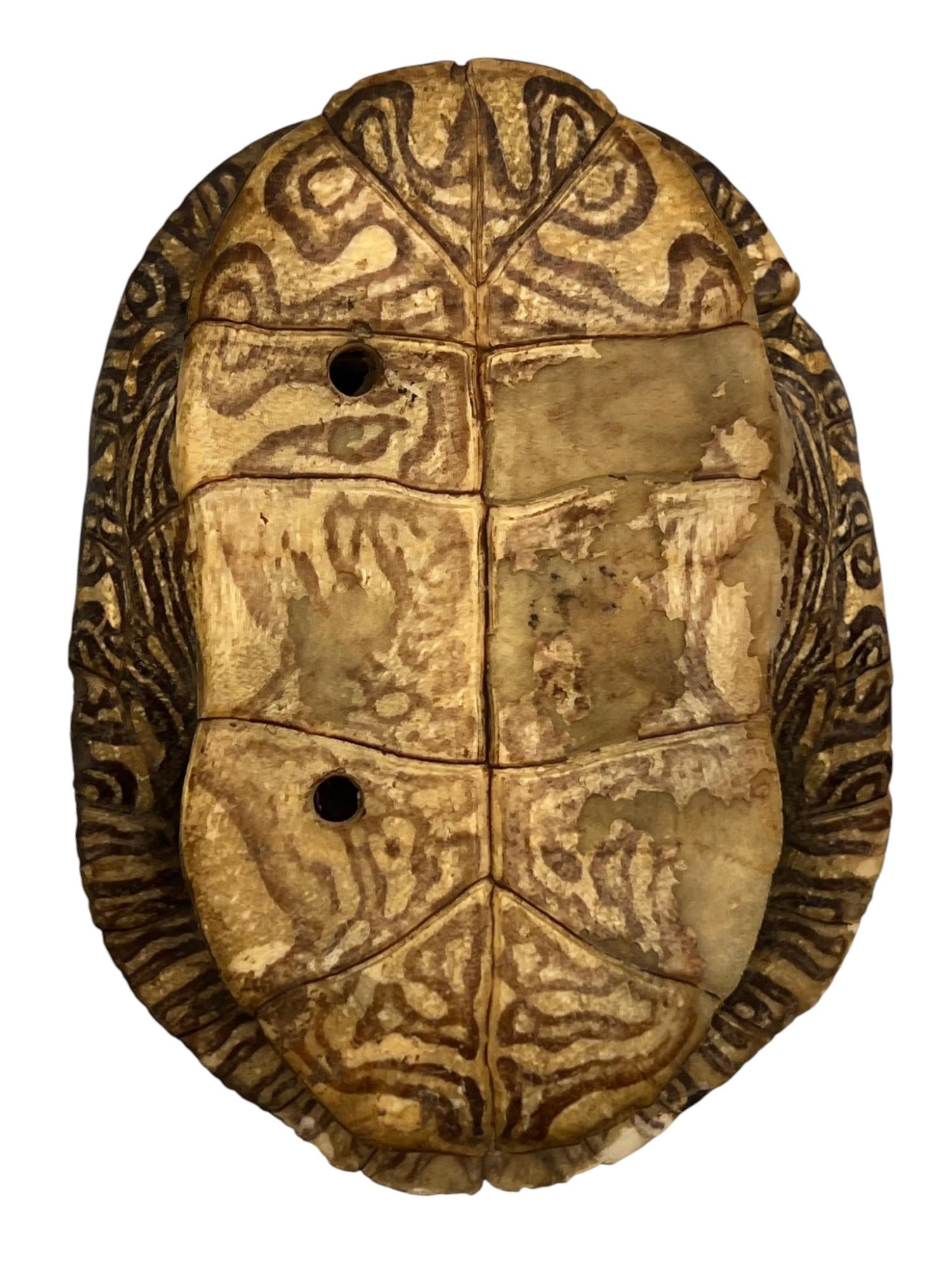 NATIVE AMERICAN BEADWORK FRAGMENT & TURTLE SHELL - 5