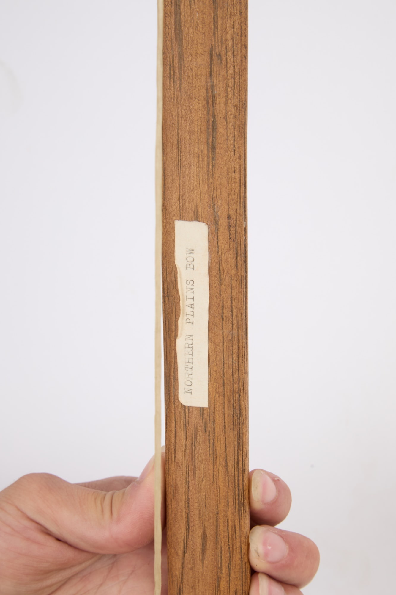 PLAINS INDIANS LONGBOW with SINEW STRING - 7