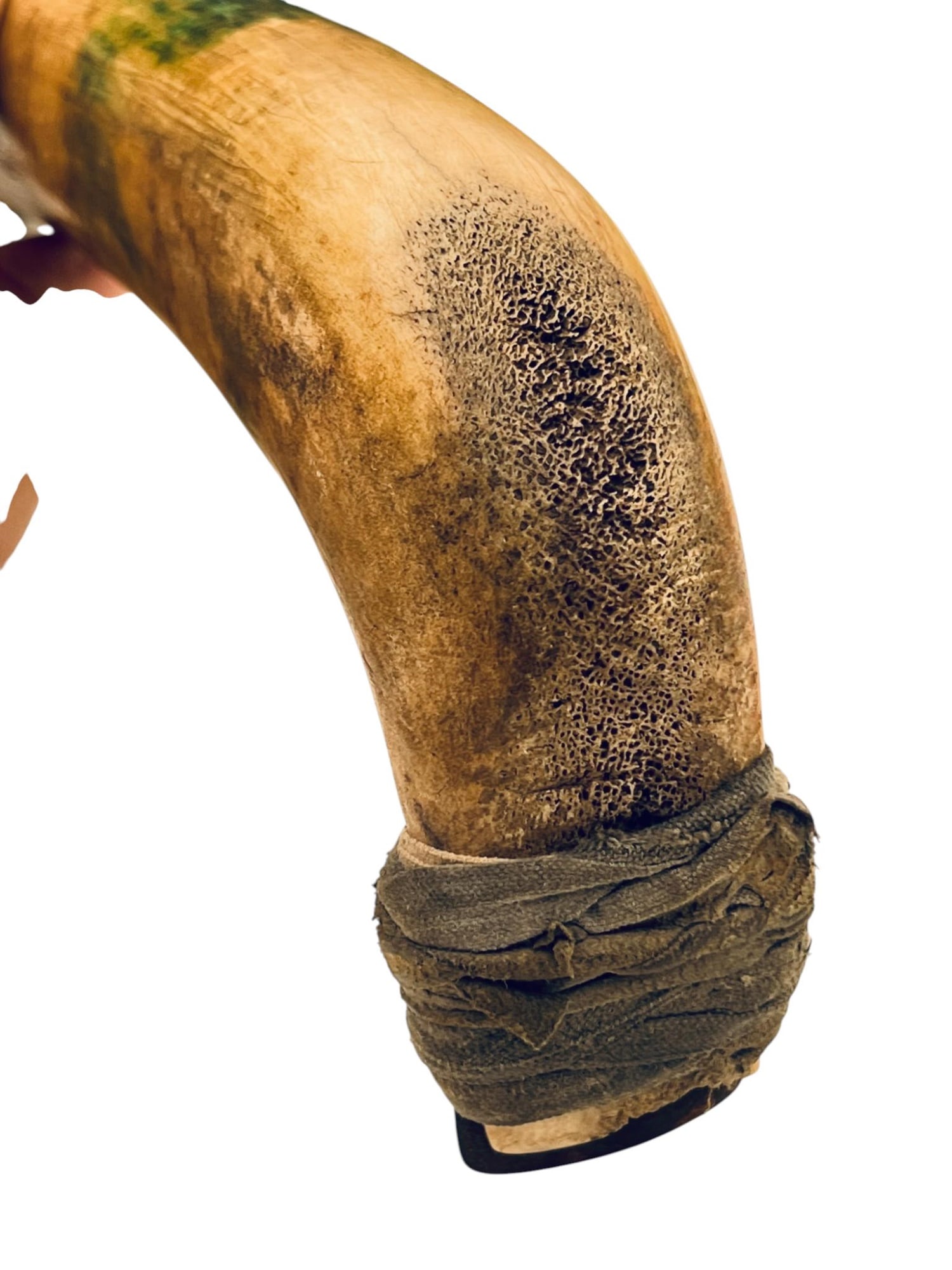 LARGE NATIVE AMERICAN HIDE SCRAPING TOOL - 3