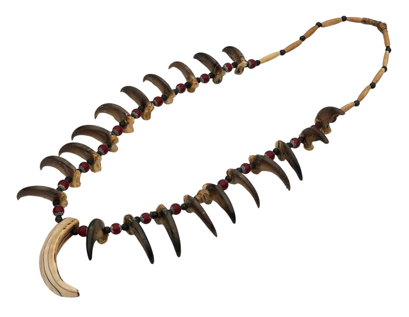 NATIVE AMERICAN BEAR CLAW & TOOTH NECKLACE (1 of 7)