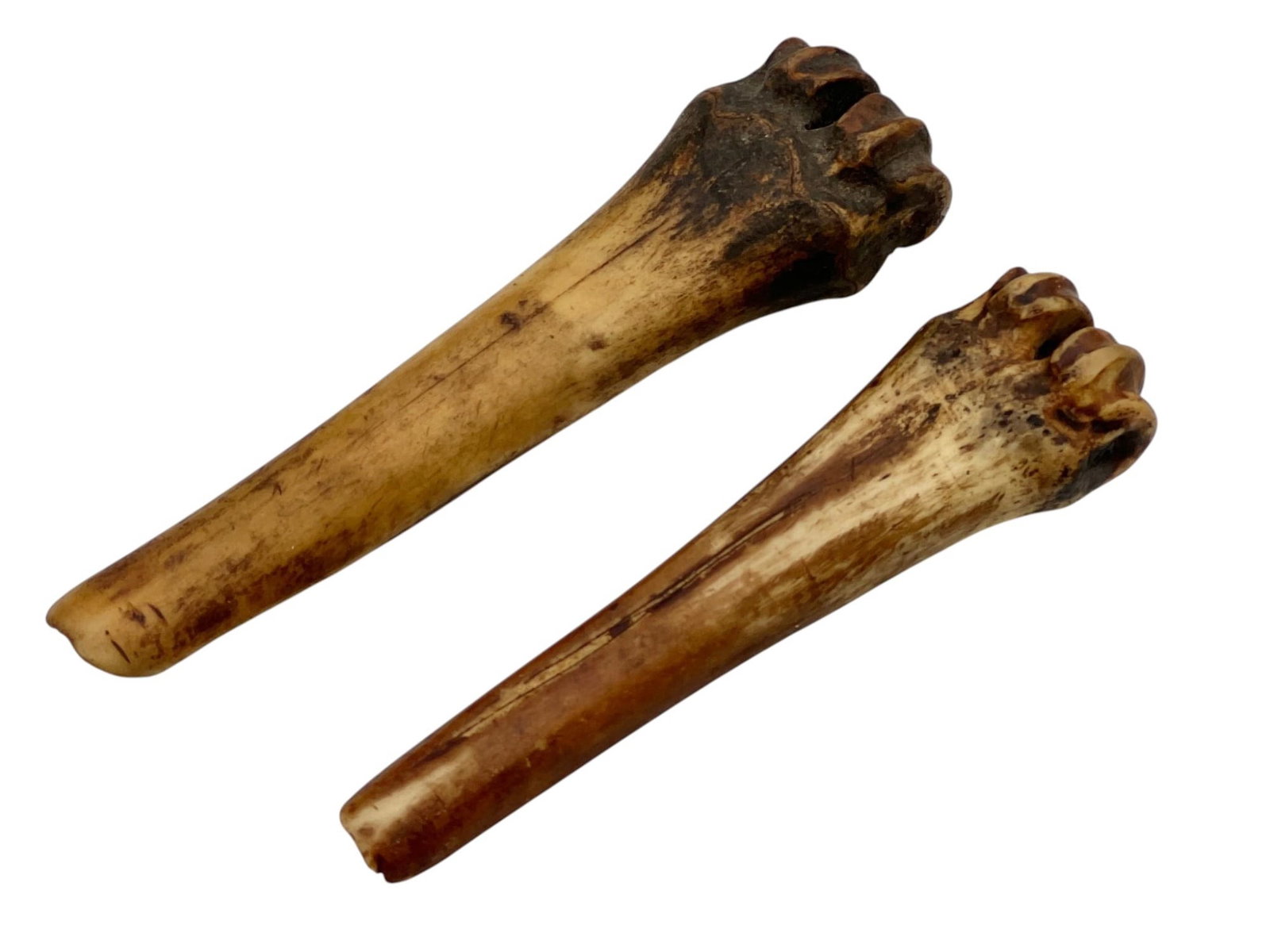 (2) NATIVE AMERICAN BONE FLESHING TOOLS - 4