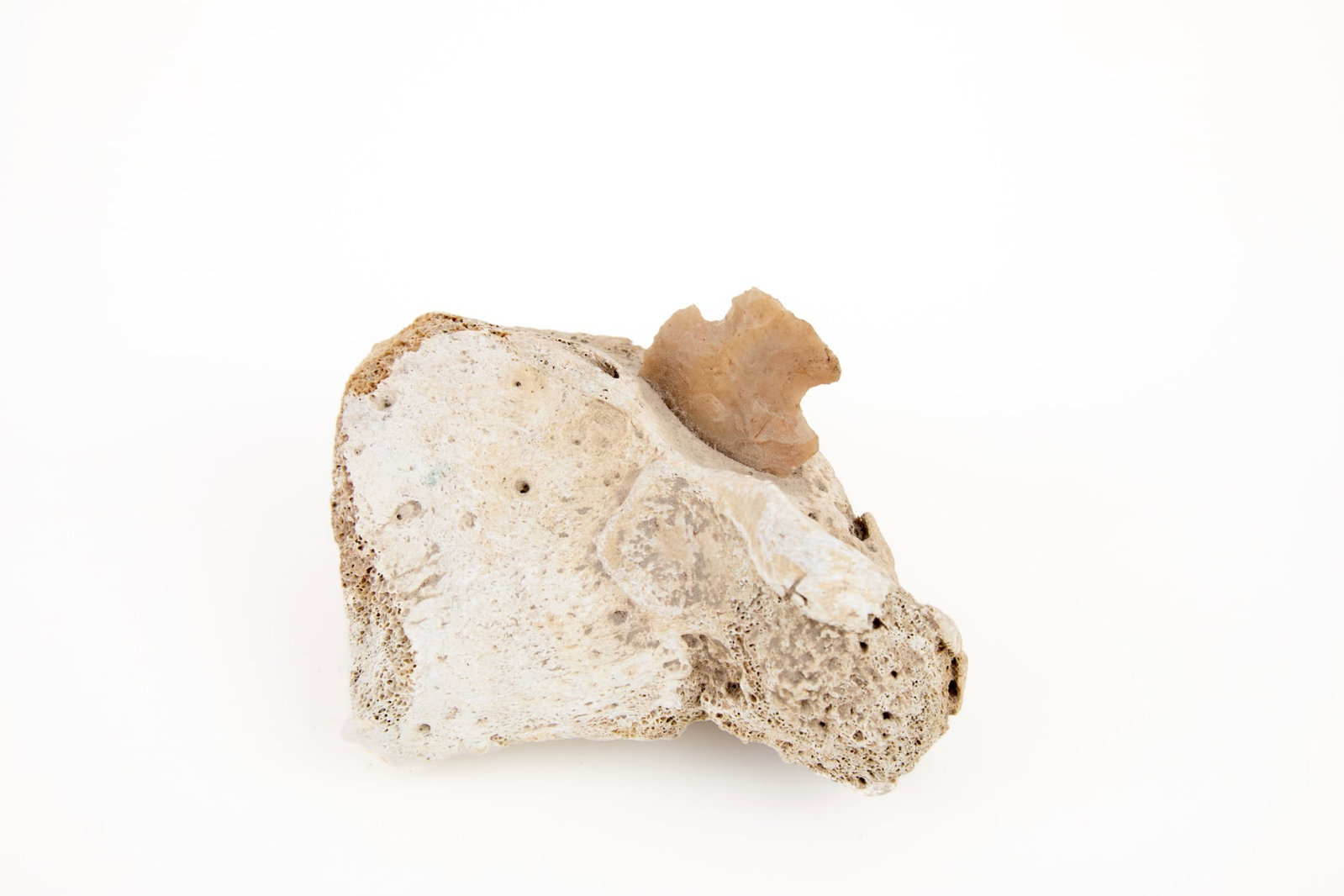 INTERESTING NATIVE AMERICAN HUNTING ARTIFACT (1 of 6)
