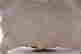 item-24112429=8