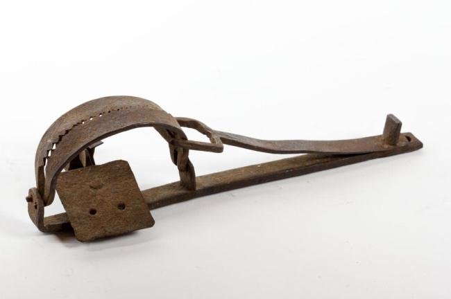 EARLY WROUGHT IRON SERRATED TRAP: Length 11 1/2 inches