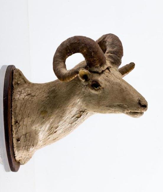 MINIATURE PAINTED COMPOSITE WALL MOUNTED RAM: 6 1/2 x 6 1/2 inches
