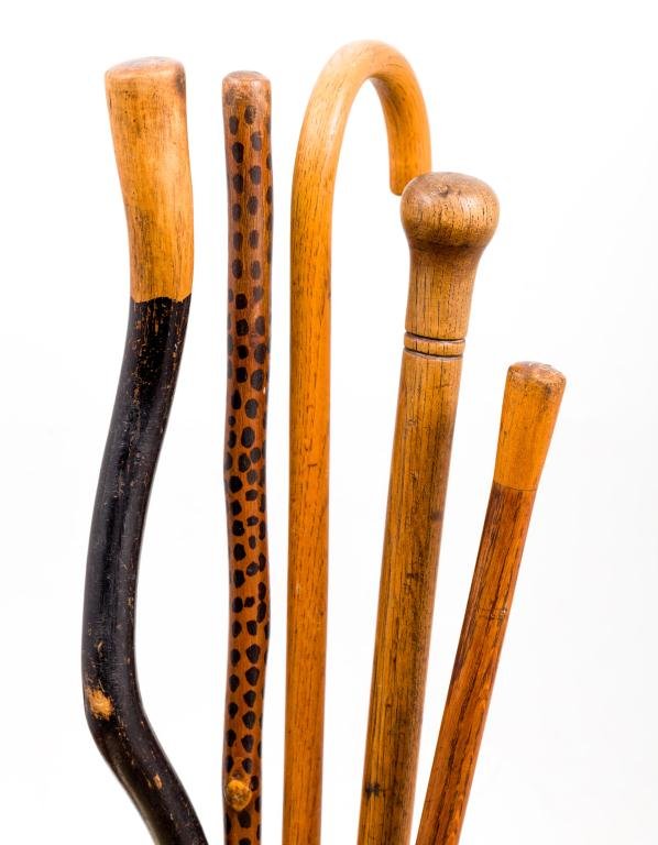 ASSORTMENT OF (5) CANES OF NATURAL AND TURNED WOOD: Including (1) oak crook handled, (1) leopard decorated (1) oak with knob handle inscribed ""1761"", (1) heavy oak cane with know handle and (1) painted root twist example. 36 inches and under