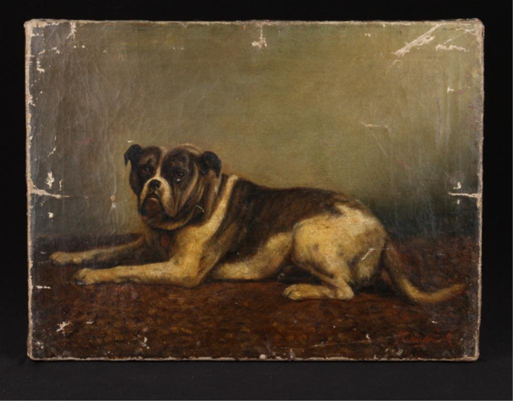 Jack Leigh Wardleworth (1863-1935): "Posing Bull Dog" oil on canvas 12 x 16 inches. signed. unframed. Condition: Lined, scattered losses