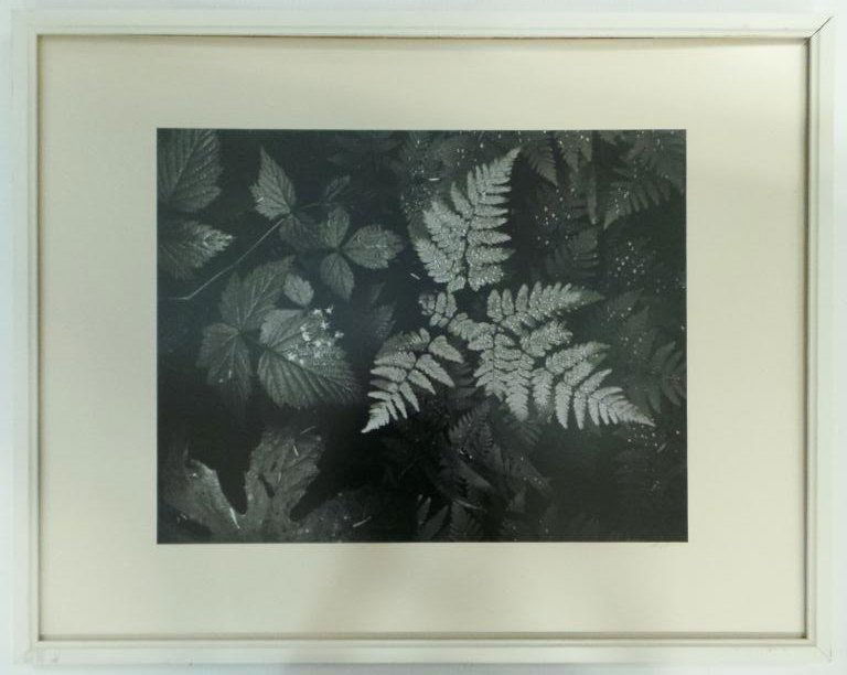 Ansel Adams (1902-1984) (1 of 6)