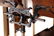 1915 Adjustable Cast Iron and Oak Book Stand - 4