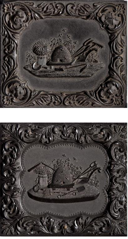 (2) Beehive Thermoplastic Cases (1 of 8)