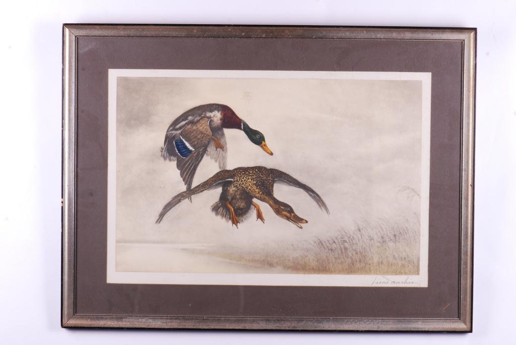 LEON DANCHIN (1887-1938): "Mallards in Flight" colored etching. 16 x 23 3/4 inches (sight) signed, framed