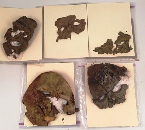 MICHAEL JACKSON\'S \"THRILLER\" ZOMBIE MASKS ETC (1 of 9)