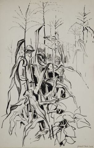 JOHN W. HATCH (1919-1998): "Harvest Corn" stick and ink wash on paper 18 x 12 inches. signed, unframed