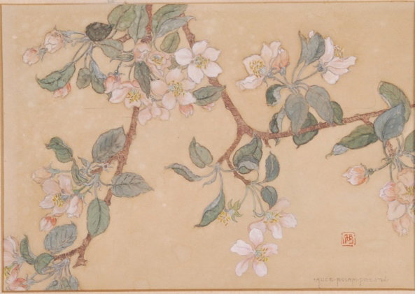 ALICE B. PRESTON (1888-1958): "Apple Blossoms" watercolor 8 x 11 1/2 inches. signed. framed 13 x 17 inches (overall)