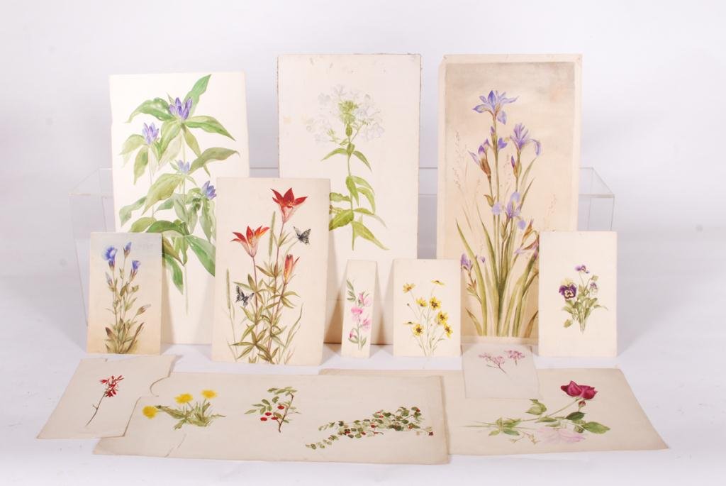 AMERICAN SCHOOL (19th c) (1 of 9)