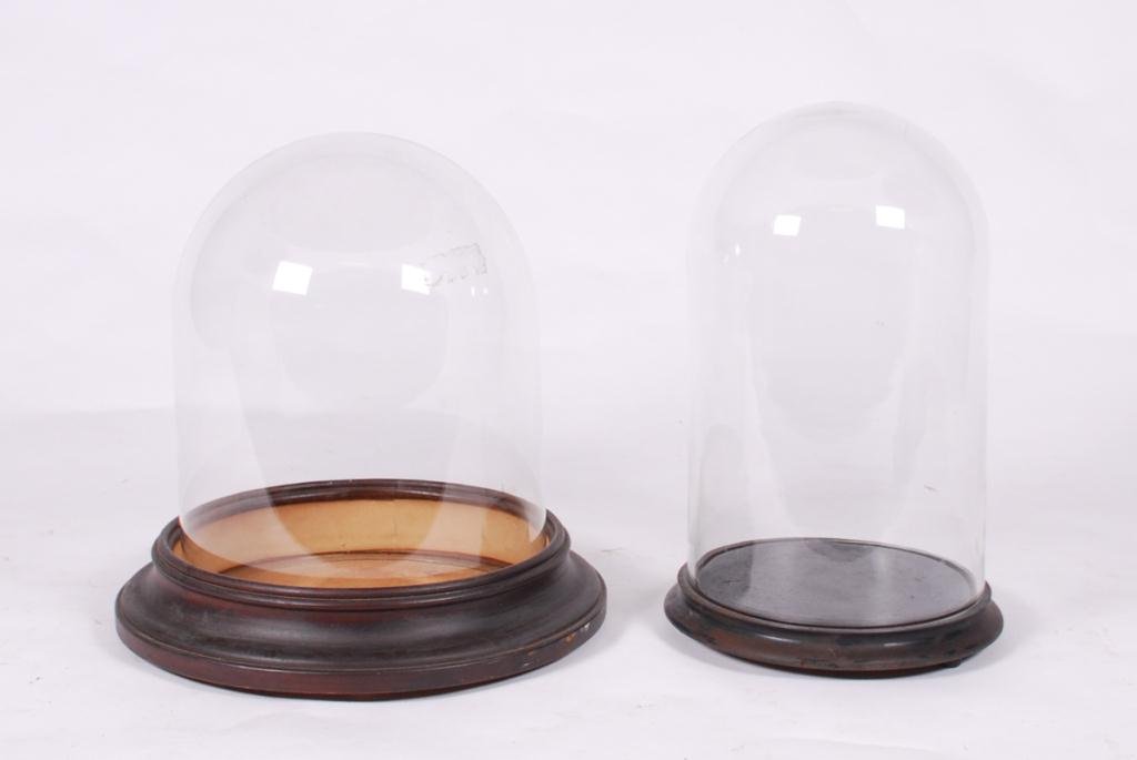 (2) GLASS DISPLAY DOMES & (2) BASES (1 of 2)