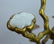 Fine Chinese Gilt Bronze & Gemstone 9 Ruyi Planter - 3