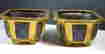 item-55613491=3