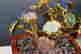 item-56500263=2