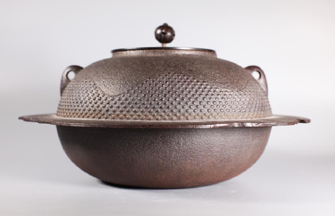 Lg Japanese Cast Iron Wide-Skirt Tetsubin Kettle (1 of 7)