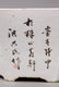 Hong Xing Shi Pr Chinese Qing Porcelain Planters - 7