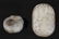 4 Chinese Ming & Qing Jades & 4 Antique Hardstones - 6
