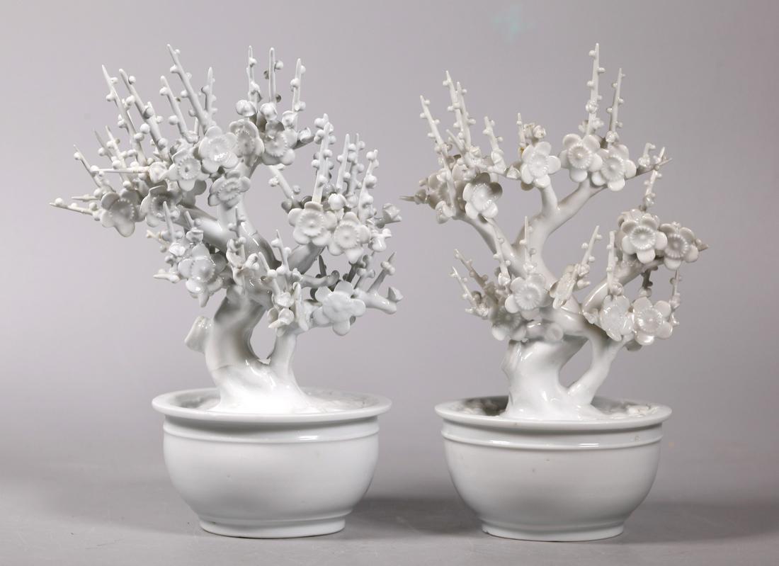 2 Chinese Blanc de Chine Porcelain Hawthorn Plants (1 of 8)