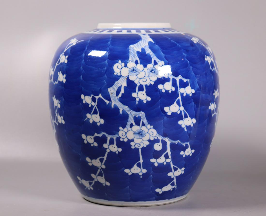 Chinese Blue & White Porcelain Hawthorn Ginger Jar: Chinese Blue & White Porcelain Hawthorn (Prunus) Ginger Jar or tea jar; the base with double ring marks in underglaze blue. Good condition with light age related wear. Height 8 1/4 inches (21 cm.) X d
