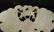 Chinese 19 C Warm White Jade Butterfly Pendant - 3