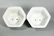 Pr Chinese Sm Qing Blue & White Porcelain Planters - 3