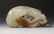 Chinese White Jade Dragon, Russet Tiger Toggle - 3