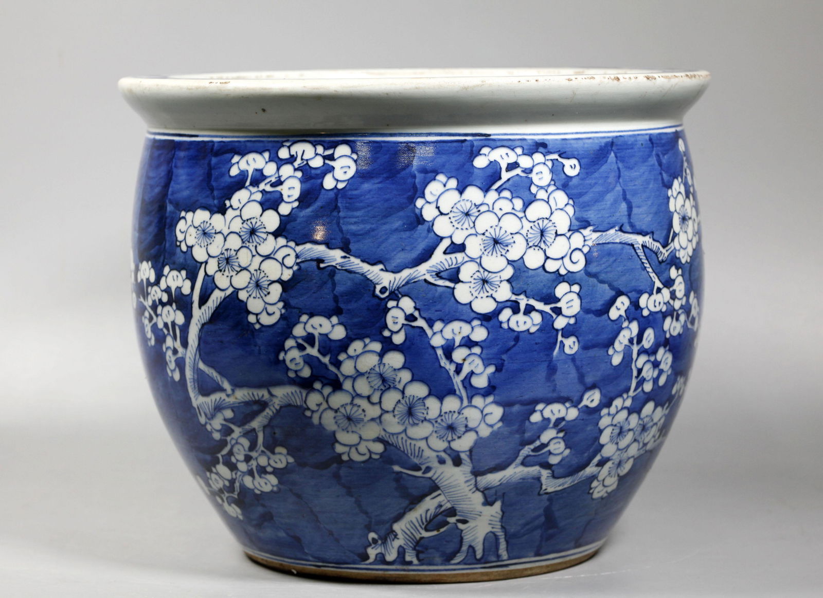 Fine Chinese 19 C Blue & White Porcelain Fish Bowl (1 of 7)