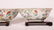 Pr Chinese 19 C Famille Rose Porcelain Bowls - 4