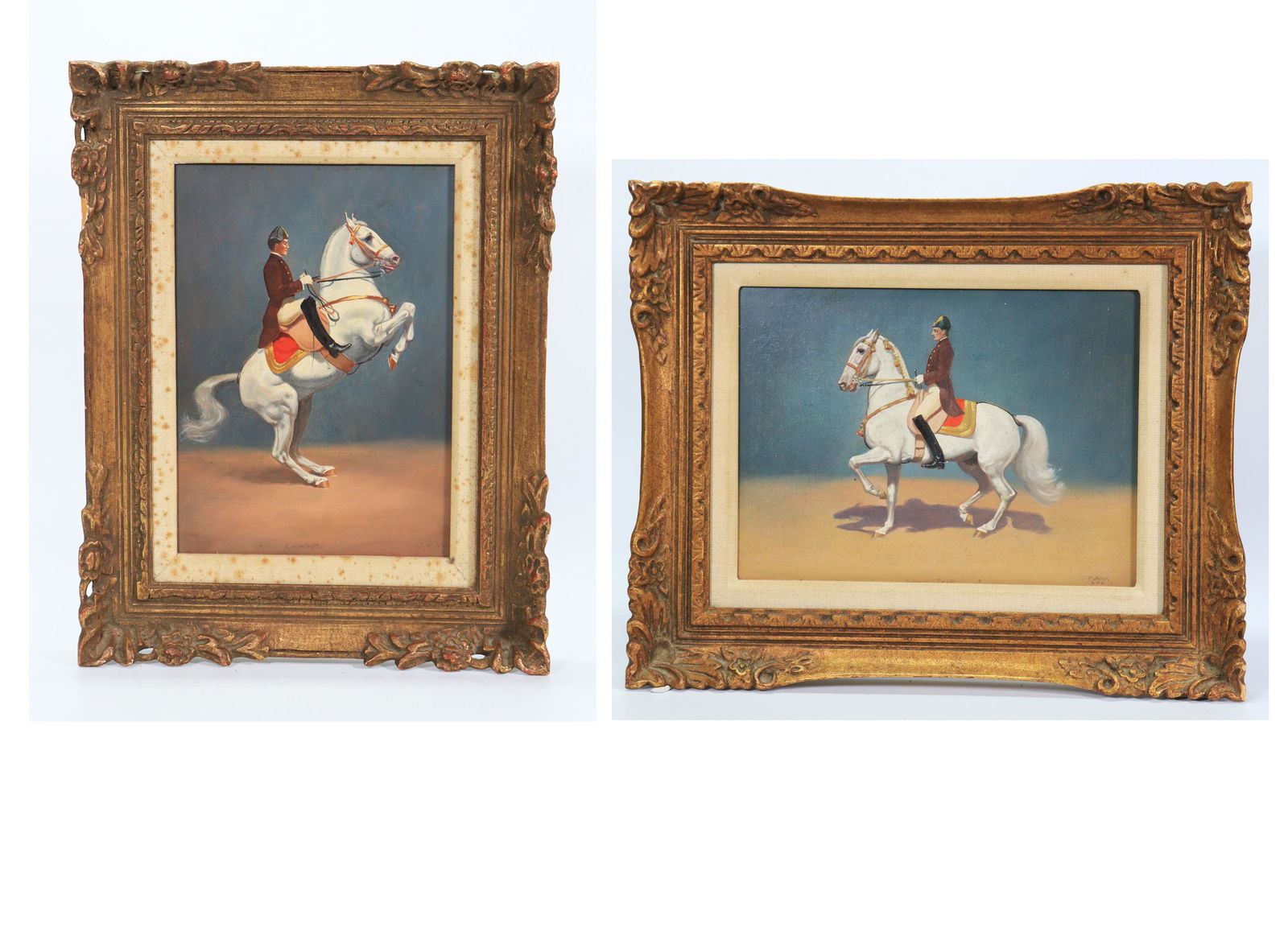 Joseph Plank Vienna Lipizzaner Horse Riding School (1 of 9)