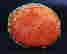 item-115962391=2
