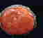 item-115962391=3