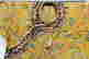 item-115962564=4