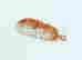 item-128501307=6