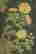 item-130786953=10