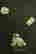 item-130786953=6