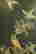 item-130786953=9