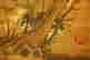 item-130787152=5