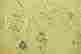 item-130787182=4